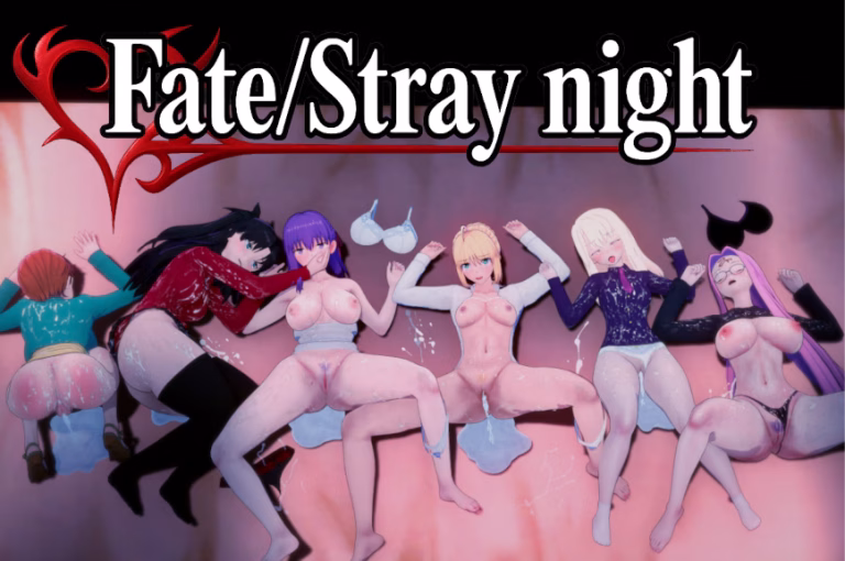 Fate/Stray Night 0.3